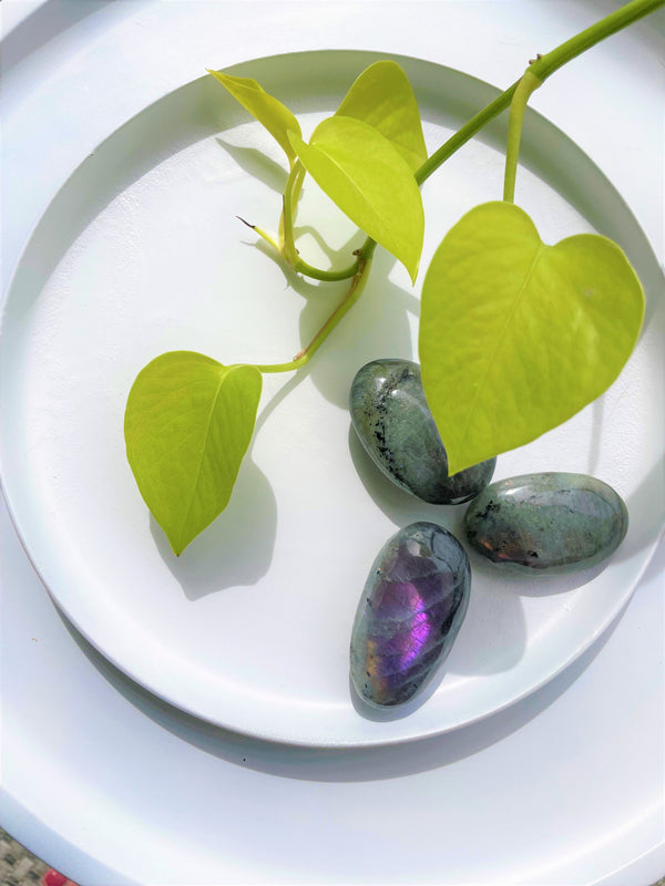 Labradorite Palmstone